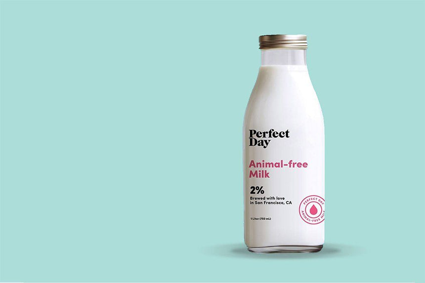 没有牛的牛奶？人造乳製品，開創全新食品時代