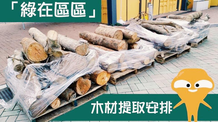 「山竹」過後 拯救塌樹木頭
