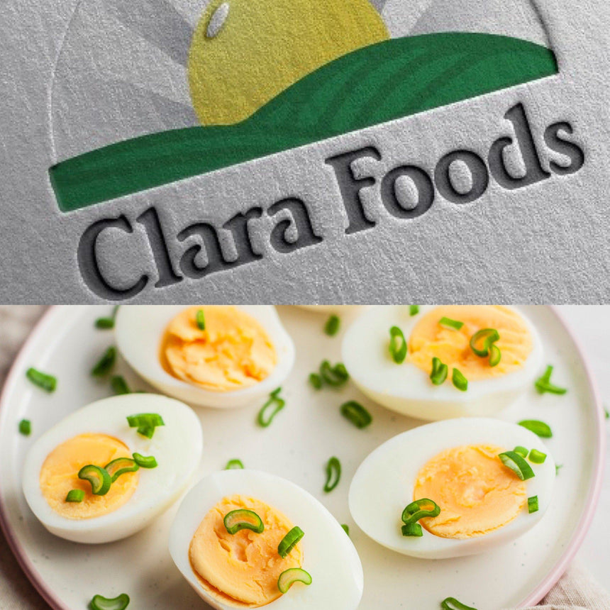 【創意還有你】無雞產蛋技術將投入美國市場，可持續植物性雞蛋替代傳統雞蛋