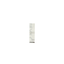 Bevy C. 光透幻白妝前保濕精華 Serums Bevy C. 