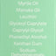 Bio-First 修護暗瘡去印啫喱 Treatments Bio-First 
