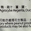 Mmanor 茶樹菇燉鴨湯 Soup Mmanor 