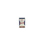 Freshlite 益生菌精華素 Probiotics Freshlite 