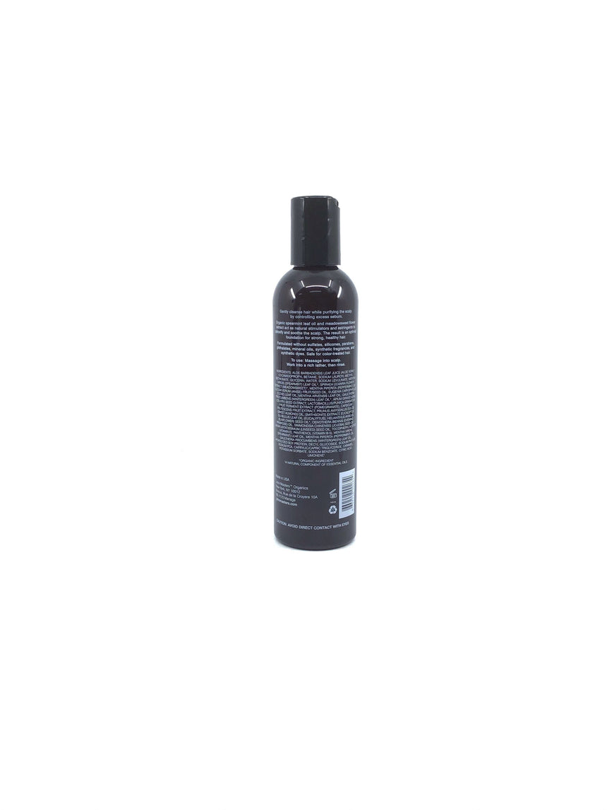 John Masters Organics 繡線菊激活洗髮小 Hair Care John Masters Organics 